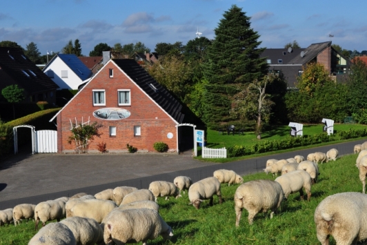 FeWos im Alten Fischerhaus - Direkt am Deich FeWos im Alten Fischerhaus - Direkt am Deich